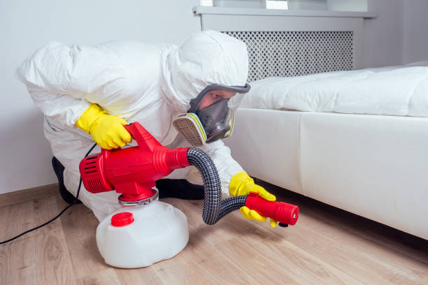 Best Best Pest Control Companies  in Cabool, MO