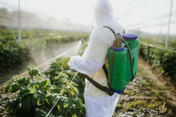 Best Insect Control  in Cabool, MO